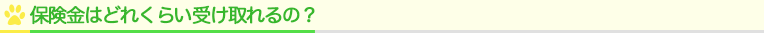 保険料はどれくらい受け取れるの?