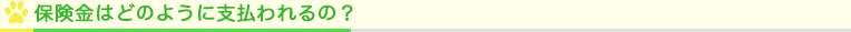 保険金はどのように支払われるの?