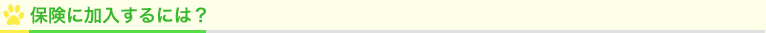 保険に加入するには?