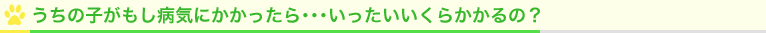 うちの子がもし病気にかかったら・・・いったいいくらかかるの?