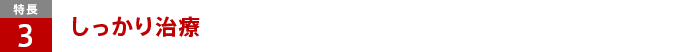 特徴 特徴