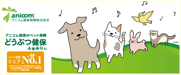アニコム損保